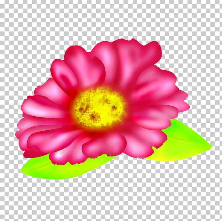 Flower Fuchsia Petal Green PNG, Clipart, Animaatio, Annual Plant, Chrysanthemum, Chrysanths, Dahlia Free PNG Download