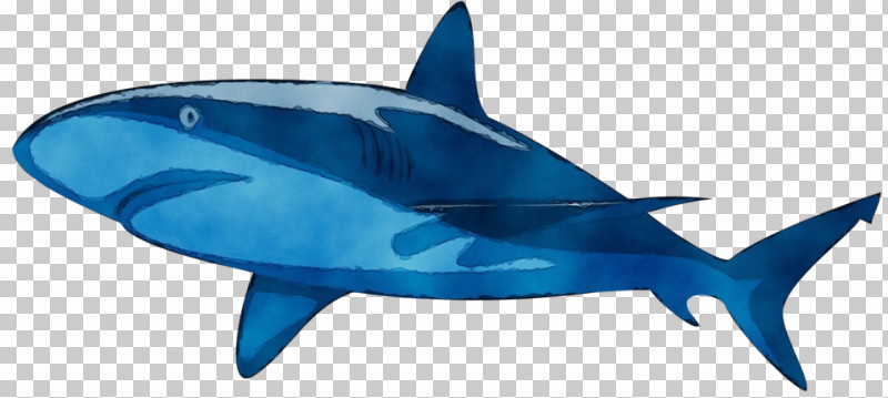 Sharks Tiger Shark Fish Tiger Cobalt Blue / M PNG, Clipart, Animal Figurine, Biology, Fish, Paint, Science Free PNG Download