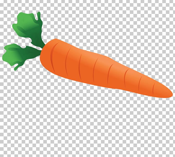 Carrot Cake Vegetable PNG, Clipart, Arracacia Xanthorrhiza, Art, Carrot, Carrot Cake, Food Free PNG Download