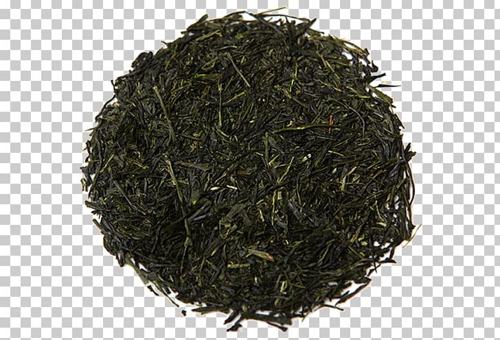 Green Tea Gyokuro Sencha Golden Monkey Tea PNG, Clipart, Assam Tea, Bai Mudan, Bancha, Biluochun, Black Tea Free PNG Download