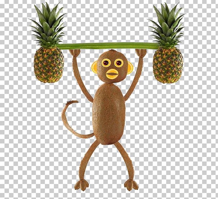 Kiwifruit Stock Photography PNG, Clipart, Ananas, Animals, Bromeliaceae, Cartoon Monkey, Cute Monkey Free PNG Download