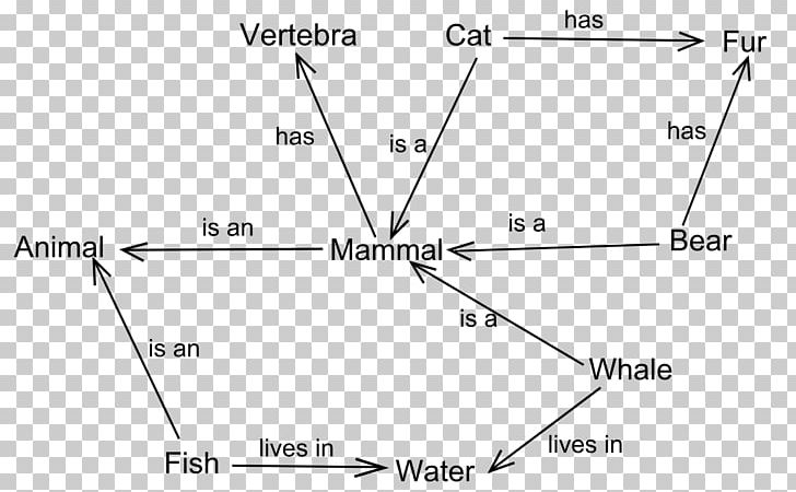 Semantic Network Lexical Semantics Semantic Web Knowledge Representation And Reasoning PNG, Clipart, Angle, Area, Black And White, Circle, Computer Network Free PNG Download