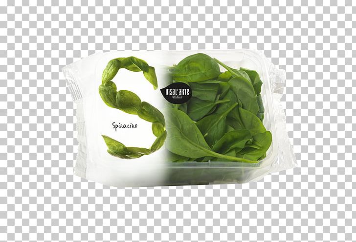 Spinach Packaging And Labeling Salad Design Food PNG, Clipart, Art, Basil, Cheese, Designer, Flowerpot Free PNG Download
