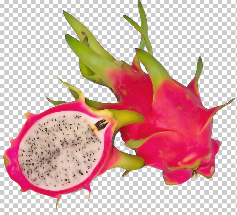 Juice Pitaya Fruit Fruit White-fleshed Pitahaya PNG, Clipart, Carambola, Common Guava, Dried Fruit, Fruit, Juice Free PNG Download