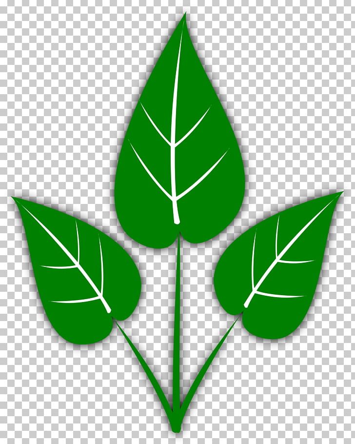 Leaf Aquatic Plant Capsicum Annuum PNG, Clipart, Alder, Aquatic Plant, Big Leaves Cliparts, Capsicum, Capsicum Annuum Free PNG Download