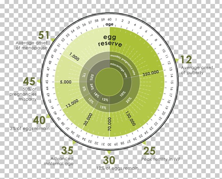 Ovarian Reserve Infertility Age And Female Fertility Endometriosis PNG, Clipart, Age And Female Fertility, Area, Brand, Circle, Clock Free PNG Download