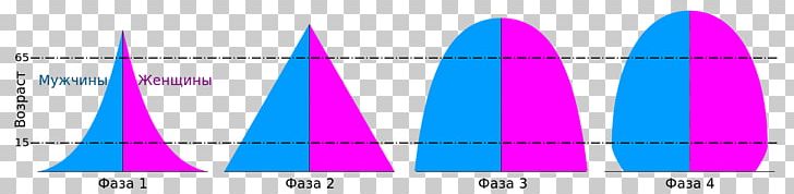 Population Pyramid World Population Mortality Rate Demography PNG, Clipart, Angle, Demographic Transition, Demography, Environmentalism, Magenta Free PNG Download