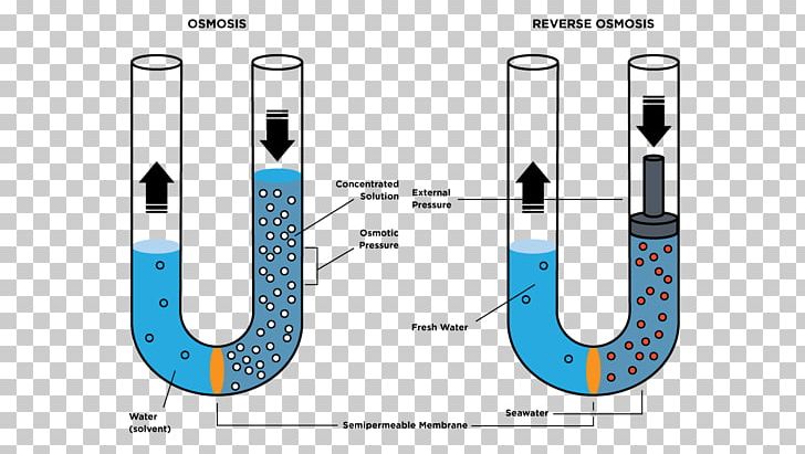 Reverse Osmosis Semipermeable Membrane Osmotic Pressure PNG, Clipart, Angle, Brand, Cell, Cell Membrane, Condensation Free PNG Download