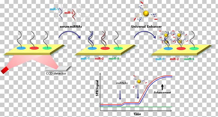 Surface Plasmon Resonance Raman Spectroscopy PNG, Clipart, Angle, Area, Collagen Induction Therapy, Diagram, Exosome Free PNG Download