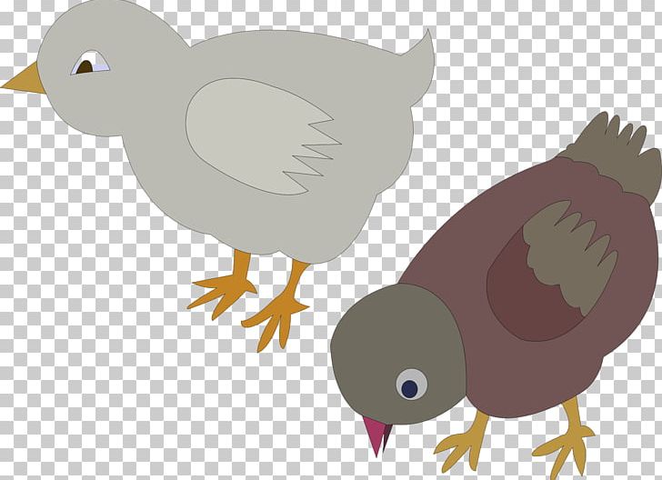 Chicken Meat PNG, Clipart, Animals, Beak, Bird, Chicken, Chicken Meat Free PNG Download