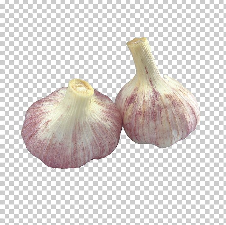 Garlic Vegetable Food Allicin Onion PNG, Clipart, Cartoon Garlic, Chili Garlic, Clove, Cooking, Eating Free PNG Download