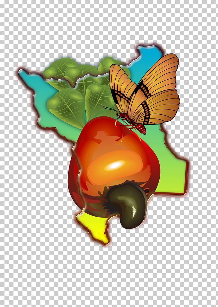 M. Butterfly Insect Pollinator Food PNG, Clipart, Butterflies And Moths, Butterfly, Food, Fruit, Fruit Nut Free PNG Download