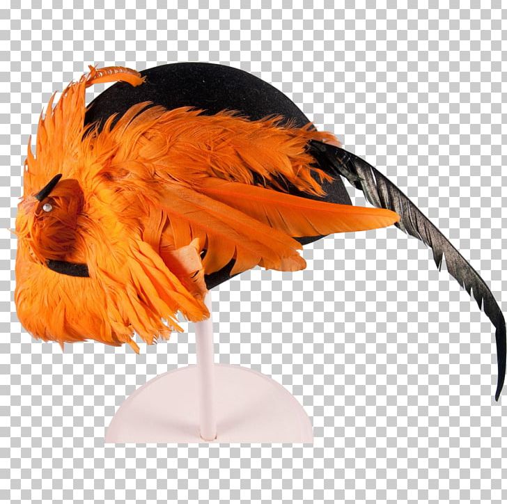 Bird Hat Feather Felt Clothing PNG, Clipart, Animals, Beak, Bird, Clothing, Costume Free PNG Download
