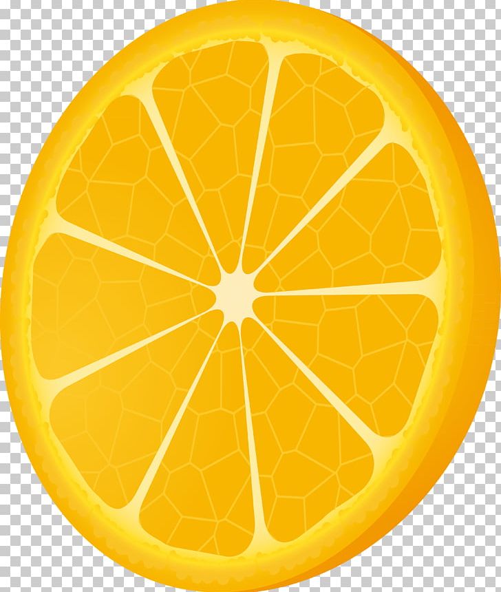 Lemon Orange PNG, Clipart, Adobe Illustrator, Art, Christmas Decoration, Citrus, Encapsulated Postscript Free PNG Download