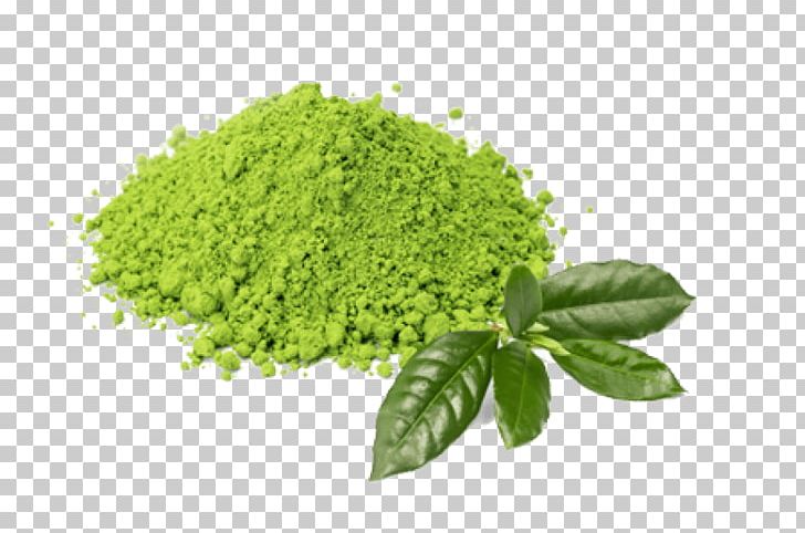 Matcha Green Tea Latte Tea Plant PNG, Clipart, Antioxidant, Caffeine, Drink, Food, Food Drinks Free PNG Download