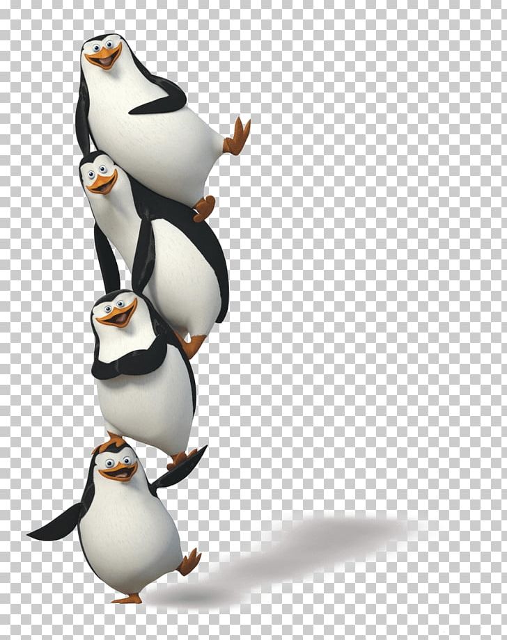 Penguin Madagascar PNG, Clipart, Akitaclub, Animals, Animation, Beak, Bird Free PNG Download