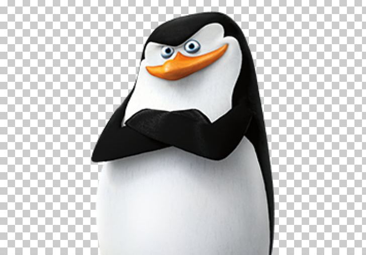 Skipper Kowalski Penguin Madagascar Television PNG, Clipart, All Hail King Julien, Animals, Animation, Beak, Bird Free PNG Download