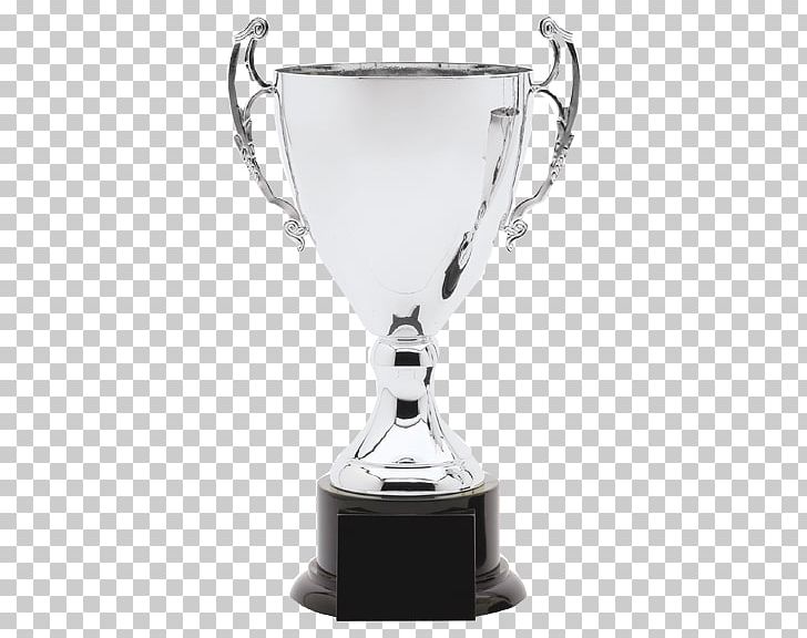 Trophy Loving Cup Award Silver PNG, Clipart, Award, Commemorative Plaque, Cricket World Cup Trophy, Cup, Gift Free PNG Download