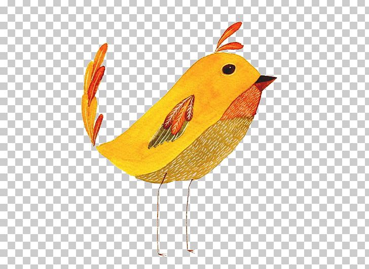 Water Bird Beak Wing Feather PNG, Clipart, Animals, Beak, Bird, Chicken, Chicken As Food Free PNG Download
