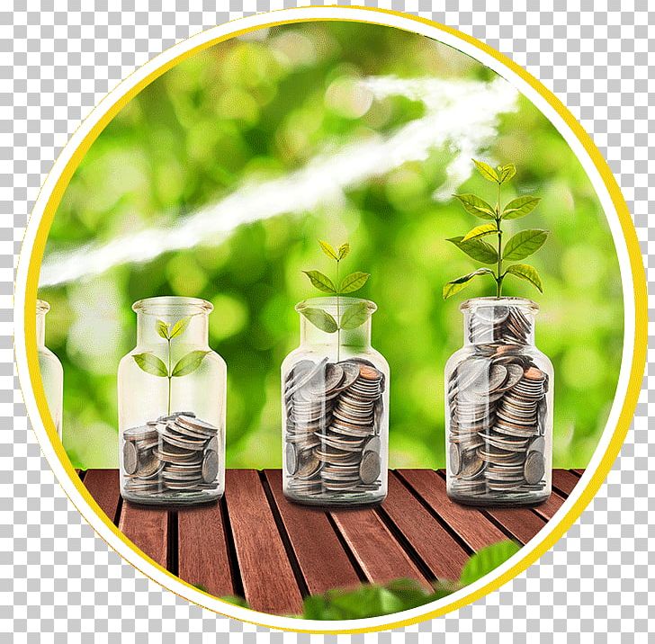HarbourVest Global Private Equity Money LON:HVPE Stock Photography Saving PNG, Clipart, Finance, Flowerpot, Grass, Harbourvest Partners, Herb Free PNG Download