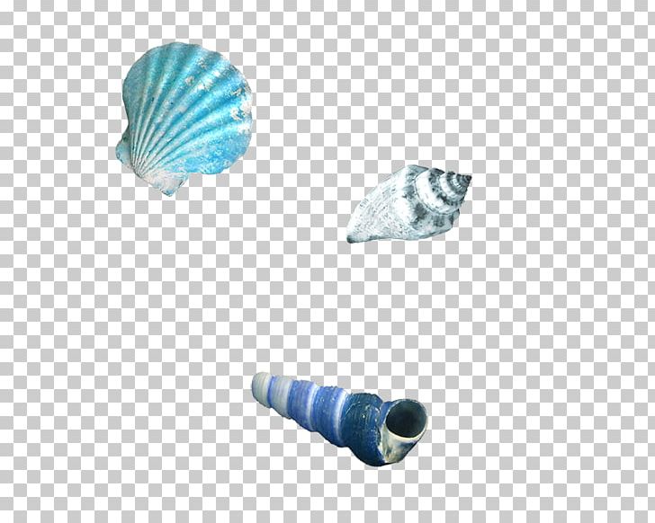 Sandy Beach Conch Seashell PNG, Clipart, Aqua, Beach, Blue, Conch, Conch Shell Free PNG Download