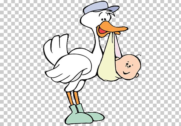 Infant Stork PNG, Clipart, Area, Artwork, Babies, Baby, Baby Animals Free PNG Download
