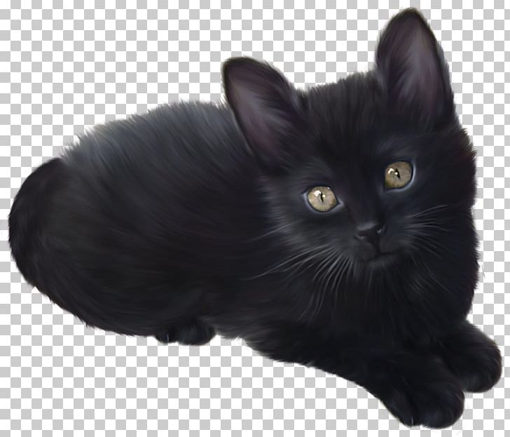 Munchkin Cat Persian Cat Kitten PNG, Clipart, Animal, Animals, Asian, Asian Semi Longhair, Black Free PNG Download