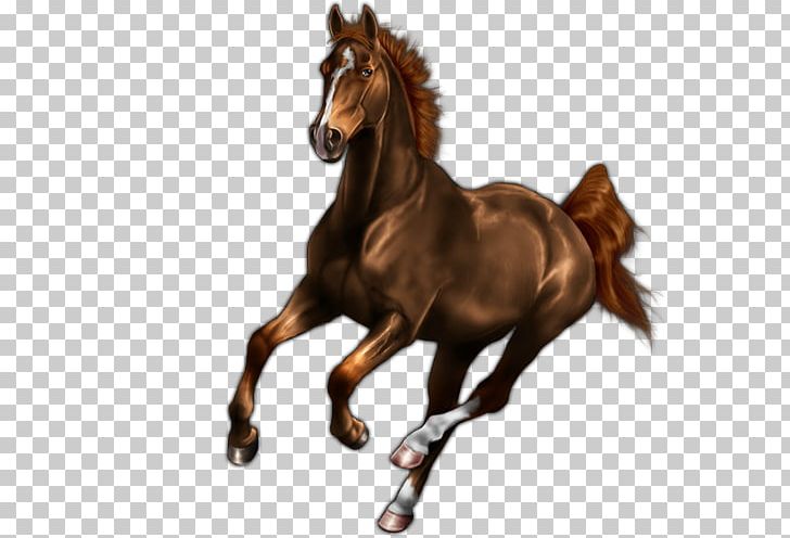 Mustang Stallion Mare Rein Halter PNG, Clipart, Bridle, Equestrian, Halter, Horse, Horse Like Mammal Free PNG Download
