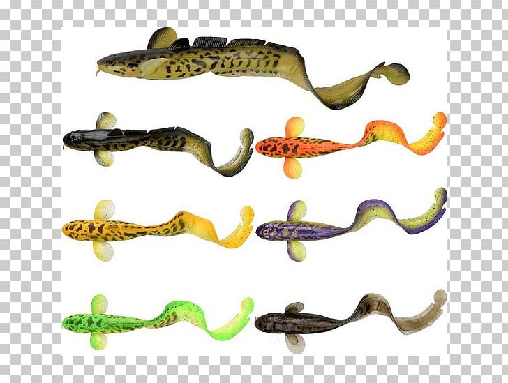 Northern Pike Fishing Baits & Lures Burbot Gummifisch PNG, Clipart, Animal Figure, Bait, Body Jewelry, Burbot, Fish Fin Free PNG Download