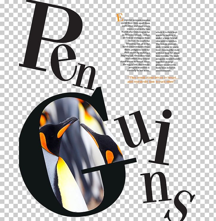 Magazine Page Layout Communication Design Logo PNG, Clipart, Adobe Indesign, Art, Article, Brand, Communication Design Free PNG Download