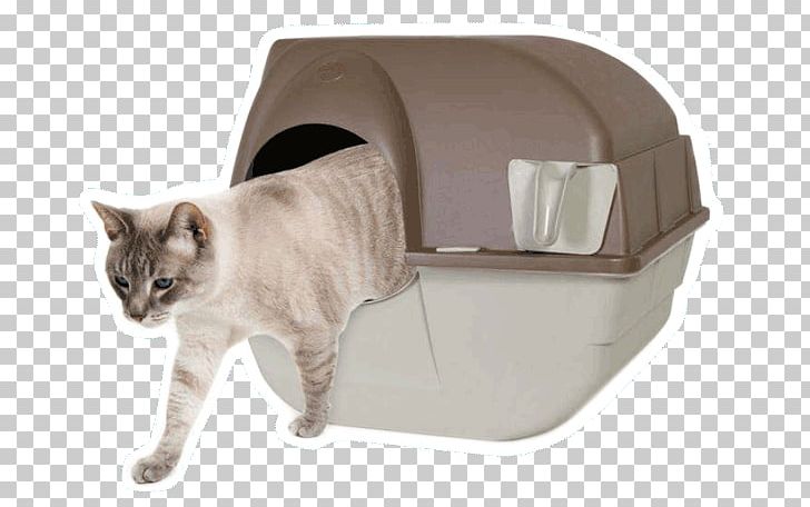 Cat Litter Trays Paw Box Pet PNG, Clipart, Animals, Big Cat, Box, Cat, Cat Bed Free PNG Download