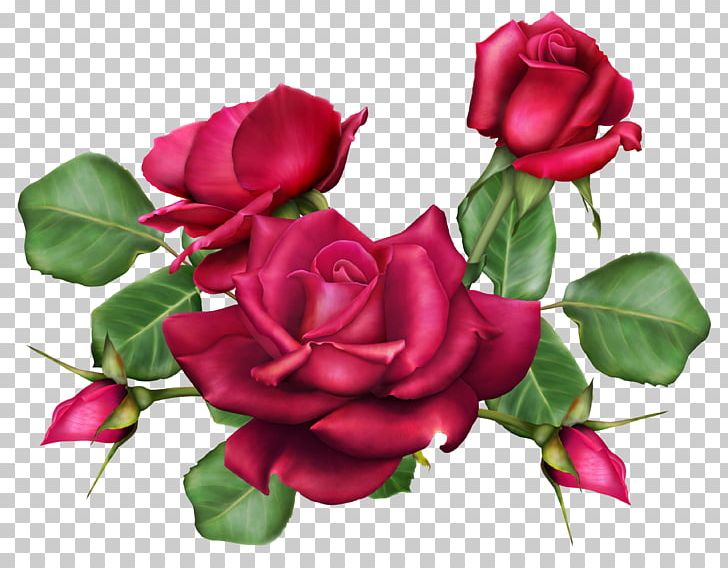 Flower Bouquet Garden Roses PNG, Clipart, Annual Plant, Artificial Flower, Centifolia Roses, China Rose, Copying Free PNG Download