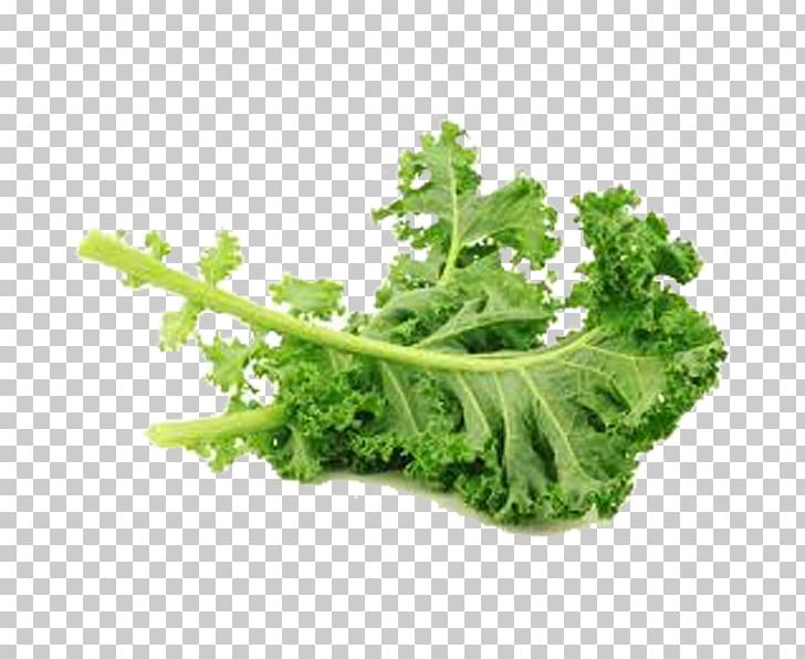 Kale Leaf Vegetable Stamppot PNG, Clipart, Brassica Oleracea, Broccoli, Capitata Group, Cauliflower, Collard Greens Free PNG Download