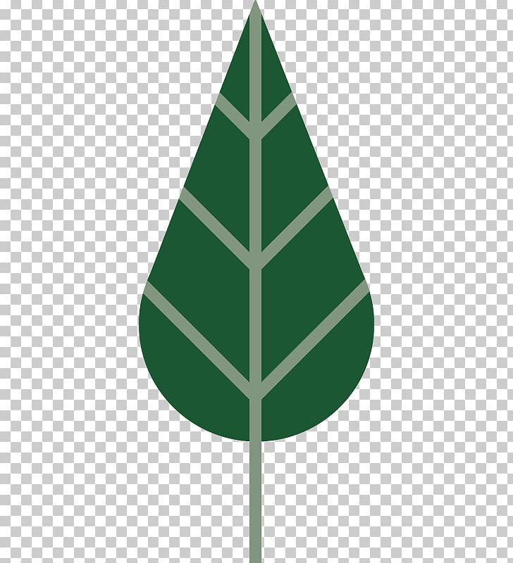 Ecosystem Pine Family Ecology Christmas Tree PNG, Clipart, Angle, Christmas Day, Christmas Tree, Conifer, Ecology Free PNG Download