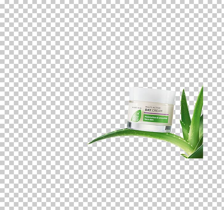 LR Health & Beauty Systems Aloe Vera LR Online Shop Plant Skin PNG, Clipart, Aloe Vera, Cinema, Copyright, Cream, Face Mask Lr Free PNG Download