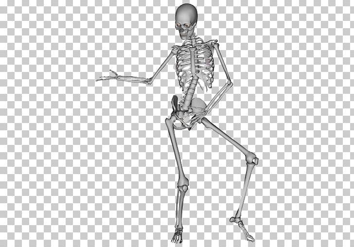 The Human Skeleton Dance Bone PNG, Clipart, Anatomy, Arm, Black And White, Bone, Bones Free PNG Download
