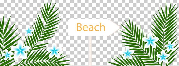 Playa De La Arena Arecaceae Summer Vacation Beach PNG, Clipart, Autumn Leaves, Balloon Cartoon, Branch, Cartoon Character, Christmas Decoration Free PNG Download