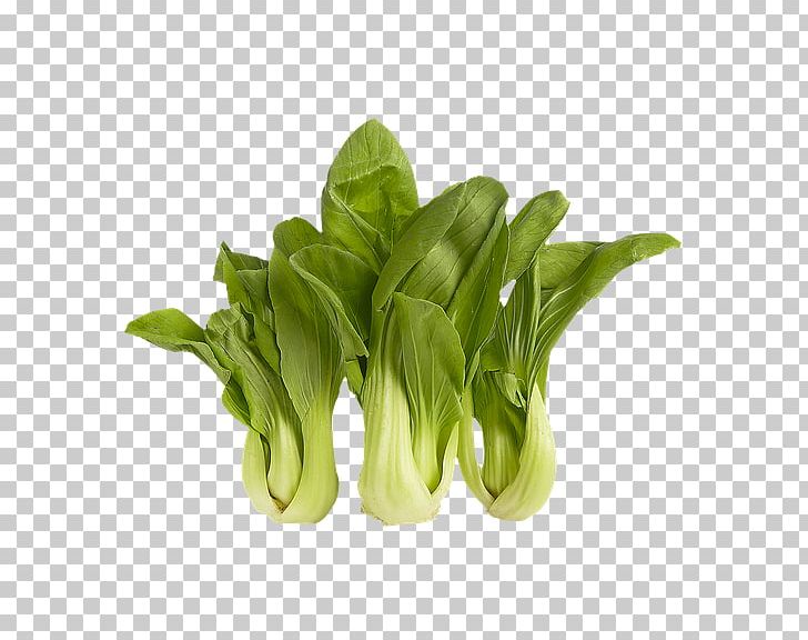 Spinach Spring Greens Komatsuna Romaine Lettuce Chard PNG, Clipart, Basil, Bok, Bok Choy, Broccoli, Chard Free PNG Download