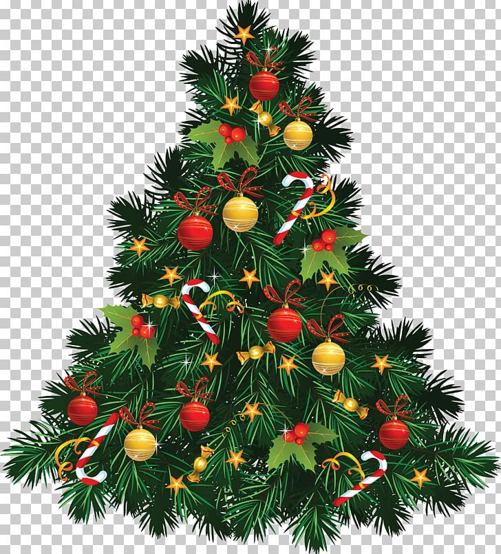 Christmas Tree Christmas Ornament Christmas Decoration PNG, Clipart, Christmas, Christmas Ornament, Christmas Tree, Conifer, Decor Free PNG Download