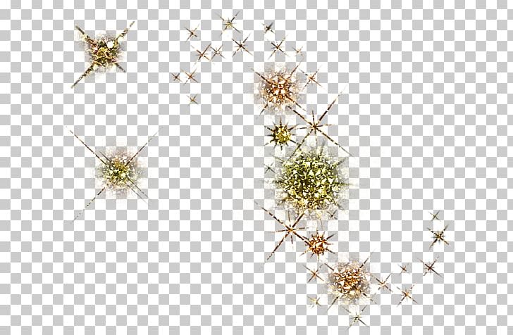Flowering Plant Line PNG, Clipart, Branch, Class, Flora, Flower, Flowering Plant Free PNG Download