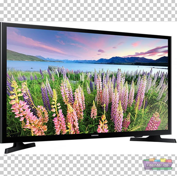 LED-backlit LCD Smart TV High-definition Television 1080p PNG, Clipart, 1080p, Computer Monitor, Display Device, Flower, Grass Free PNG Download