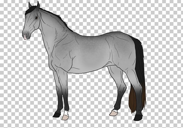 Mustang Stallion Foal Mare Colt PNG, Clipart, Black And White, Bridle, Colt, Foal, Halter Free PNG Download