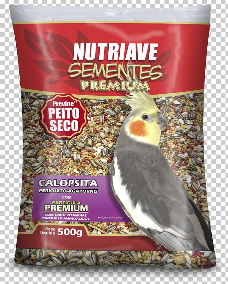 Atlantic Canary Passerine Bird Food Society Finch Pet Food PNG, Clipart, Animals, Atlantic Canary, Bird, Bird Food, Bird Supply Free PNG Download