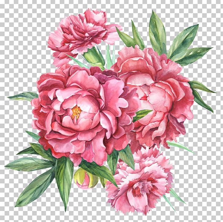 Floral Design Carnation Botanical Illustration Flower Bouquet Botany PNG, Clipart, Annual Plant, Art, Artificial Flower, Blume, Botanica Free PNG Download