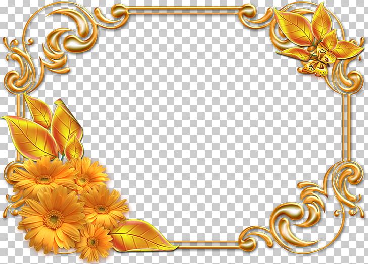 Frames Photography PNG, Clipart, Bmp File Format, Body Jewelry, Flower, Information, Internet Free PNG Download