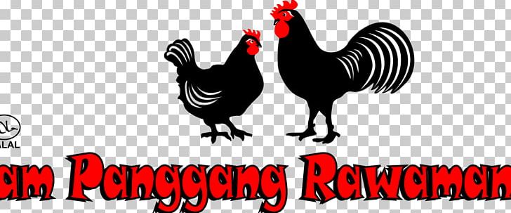 Rooster Logo Chicken As Food Beak Font PNG, Clipart, Ayam Bakar, Beak, Bird, Chicken, Chicken As Food Free PNG Download