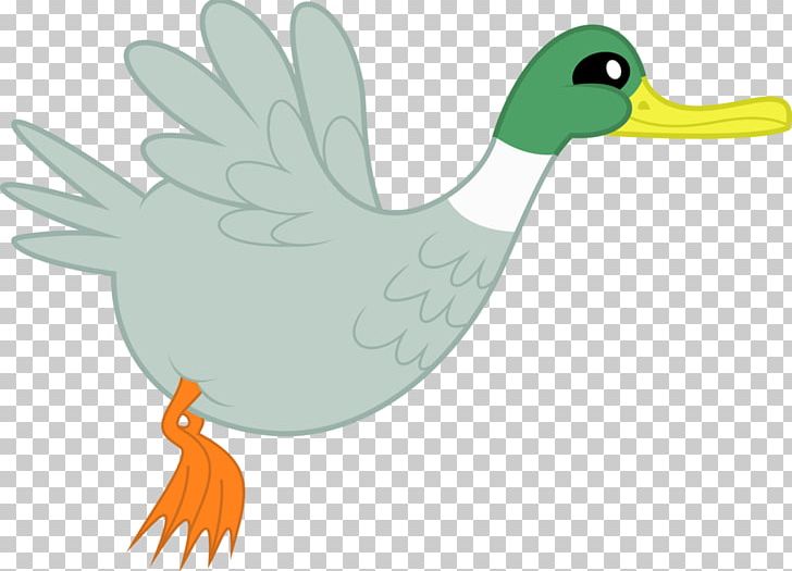 Duck Bird Anatidae PNG, Clipart, Anatidae, Animal Figure, Animals, Animation, Beak Free PNG Download