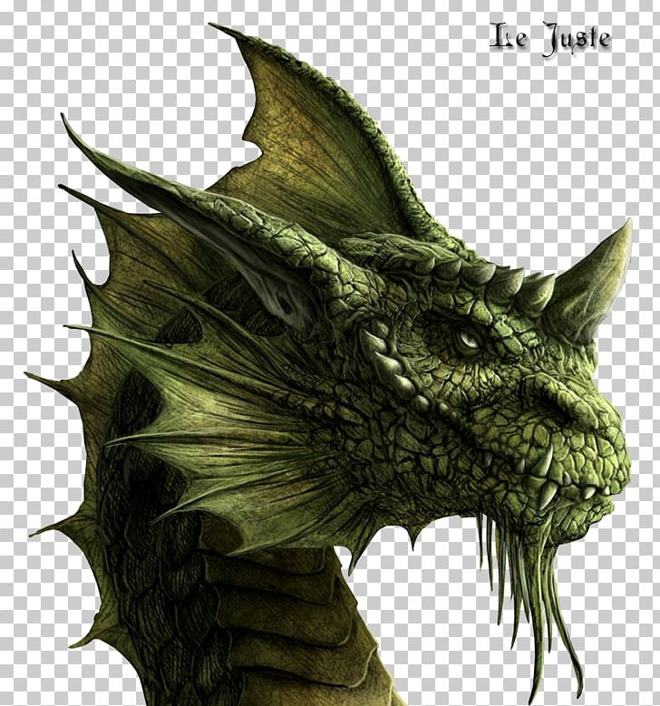 Eragon Brisingr Inheritance Cycle Arya Dröttningu Galbatorix PNG, Clipart, Author, Book, Brisingr, Christopher Paolini, Dragon Free PNG Download