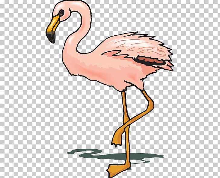 Flamingo Free Content PNG, Clipart, Beak, Bird, Blog, Clip Art, Fauna Free PNG Download