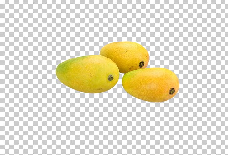 Mango Fruit Auglis PNG, Clipart, Adobe Illustrator, Auglis, Download, Dried Mango, Element Free PNG Download